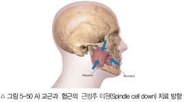 [임상특강] 전신치의학회 임상 5. 턱관절의 구조와 이상 ⅩⅠ - 덴탈아리랑 [임상특강] 전신치의학회 임상 5. 턱관절의 구조와 이상 ⅩⅠ