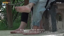 2024년 9월 KBS부산 열린채널 선정 <나의 숲, 상림>, <왕자 사진관>, <단풍련> | 미디어커뮤니케이션학과