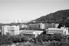 약사 | 대학현황 | DEU | 동의대학교 대표 약사 | 대학현황 | DEU