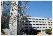 동의대 캠퍼스에 피어 오른 봄 기운 | 동의대학교 대표