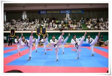 제12회 동의대 총장배 전국태권도대회 개최 | 동의대학교 대표