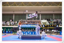 제12회 동의대 총장배 전국태권도대회 개최 | 동의대학교 대표