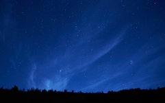 특별프로그램 < 교육 과정 < DGIST 융합인재교육원  특별프로그램 > 교육 과정 >