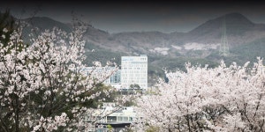 DGIST 대구경북과학기술원