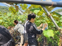 동해시청소년수련관 동해시청소년시설