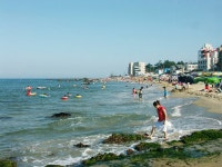 동해관광 > 여행도우미 > 동해관광 포토갤러리