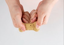 영양제 대신먹는 애견간식 대마씨유(햄프씨드) 비탤리테 비스킷 350g, 14,500원, 이프라임샵님의 스토어 [디비디비] 영양제 대신먹는... 