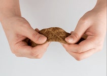 영양제 대신먹는 애견간식 대마씨유(햄프씨드) 비탤리테 비스킷 350g, 14,500원, 이프라임샵님의 스토어 [디비디비] 영양제 대신먹는... 