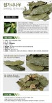 제주도 참가시나무잎 300g, 10,000원, 천년약초님의 스토어 [디비디비] 제주도 참가시나무잎 300g | 10,000원