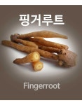 핑거루트 환,가루 500g 1kg, 13,000원, 릴리스타 [디비디비] 핑거루트 환,가루  500g 1kg | 13,000원
