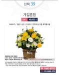 계절혼합 (이벤트 기념일 작품전 연주회 출산), 48,000원, 엠플라워님의 스토어 [디비디비] 계절혼합 (이벤트 기념일 작품전 연주회 출산) | 48... 