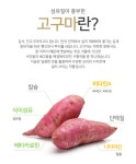 국내산 고구마 분말 300g, 4,800원, 그린약초 [디비디비] 국내산 고구마 분말 300g | 4,800원