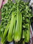 국내산100%샐러리착즙쥬스 휴롬사용, 7,500원, 유엠에이(UMA)디톡메이드 [디비디비] 국내산100%샐러리착즙쥬스 휴롬사용 | 7,500원