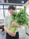 국내산100%샐러리착즙쥬스 휴롬사용, 7,500원, 유엠에이(UMA)디톡메이드 [디비디비] 국내산100%샐러리착즙쥬스 휴롬사용 | 7,500원