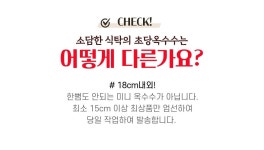 초당옥수수 특품 15cm이상 20개/10개, 20,000원, 소담한식탁 [디비디비] 초당옥수수 특품 15cm이상 20개/10개 | 20,000원