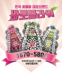 전국 특가 화환 근조화환 축하화환 개업 결혼식 장례식, 54,900원, 바로플라워 [디비디비] 전국 특가 화환 근조화환 축하화환 개업 결혼식... 