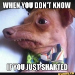 shart | Slang | Dictionary.com