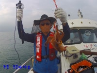 바다낚시 > 점주선장조황 > 녹동 푸른바다호 6월 30일 녹동항 문어 조황