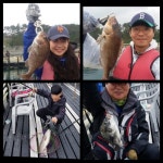 바다낚시 > 점주선장조황 > 송정낚시터 바다송어/참돔 등 조황 사진입니다