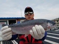 바다낚시 > 점주선장조황 > 송정낚시터 바다송어/참돔 등 조황 사진입니다