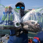 바다낚시 > 점주선장조황 > 6월13일오천영환호우럭조황