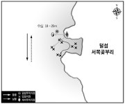디낚