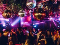 Dragon-I | Hong Kong Tourism Board