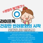 포메라니안 분양, 강아지분양 ★★포메라니안  할인분양 용품세트무료 라이프독 ★24시간open★당일안전배송★ 도그짱 No1207417