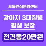 국내유일 안심분양 서비스 - 도그짱