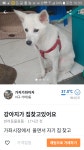 국내유일 안심분양 서비스 - 도그짱