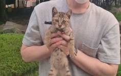 국내유일 안심분양 서비스 - 도그짱