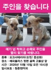 국내유일 안심분양 서비스 - 도그짱