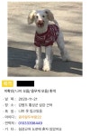 국내유일 안심분양 서비스 - 도그짱