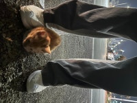 국내유일 안심분양 서비스 - 도그짱