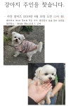 국내유일 안심분양 서비스 - 도그짱