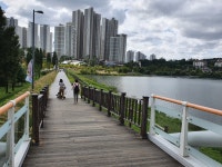 펫도우미지원 집은  광교호수공원 근처입니다.아파트단지내  1층은 차가다니지않아서 강 - 도그짱 펫시터