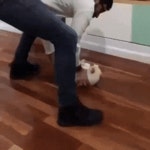 주인님의 취미생활