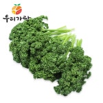 (우리가락) 가락시장직송 파슬리 1kg - 13,300원