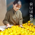 유나네농장 노지감귤 10kg 로얄과(S/M과) 200박스한정 - 10,900원