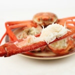 산지직송 속초홍게(찜)자숙 7-11마리내외 붉은대게 - 33%할인 19,900원