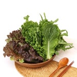 앤드마켓 매초롬 농장 신선 쌈채소 600g - 1%할인 10,790원