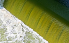 낙동강 찾은 문재인, 녹조 경고 이대로면 큰 재앙 맞아 | 사회/정치/경제 정보 낙동강 찾은 문재인, 녹조 경고 이대로면 큰 재앙 맞아 | 사회... 