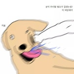 프렌치 불독이 밥도둑 잡는 만화 - DogDrip.Net 개드립