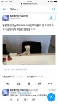 요즘 동물병원 카운터 - DogDrip.Net 개드립