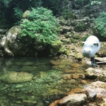 옥자 CG전 촬영영상.jpg - DogDrip.Net 개드립