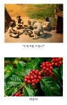 카페인의 진실 - DogDrip.Net 개드립