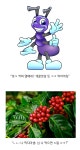카페인의 진실 - DogDrip.Net 개드립