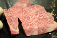 마블링 - DogDrip.Net 개드립