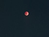 폰으로 개기월식 찍어봤음 - DogDrip.Net 개드립