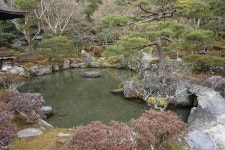 [13.75MB] 취업 못하고 외국가보고 싶어서 갔다온 일본 여행기(4일차 교토) - DogDrip.Net 개드립